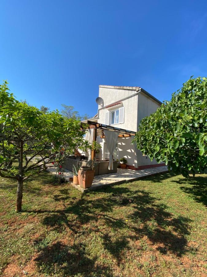 Beautiful Island House Ugljan 아파트 외부 사진